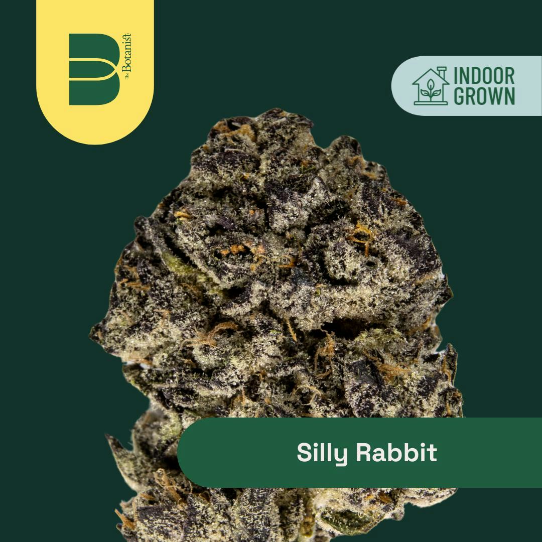 Silly Rabbit | 14g