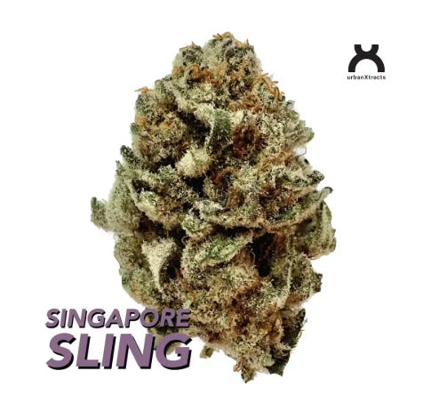 Singapore Sling | 14g