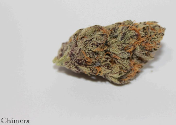 Chimera | 3.5g (Microgrow)