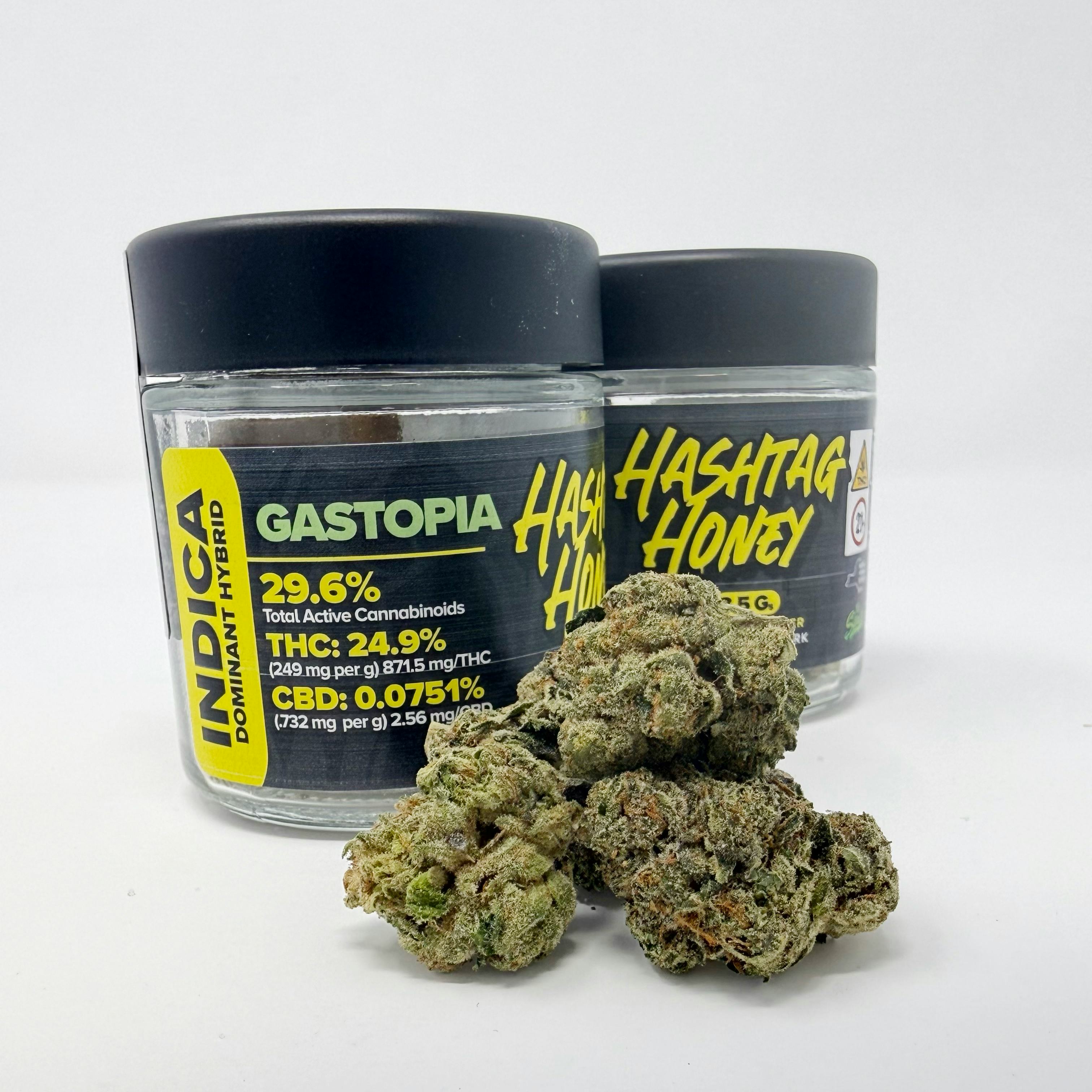 Gastopia | 3.5g Flower
