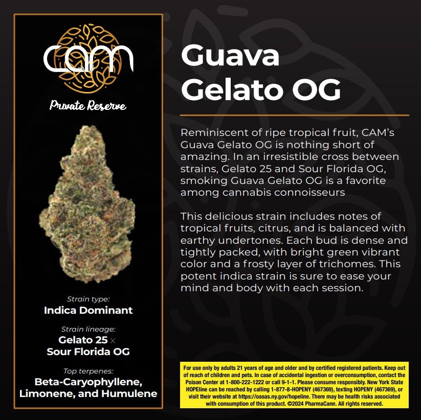 Guava Gelato OG (CAM) | Flower | 3.5g