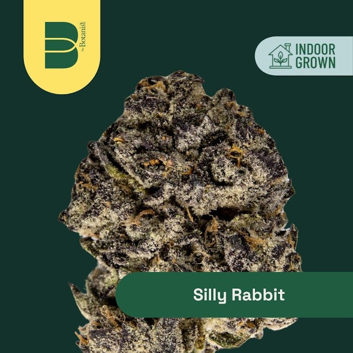 Silly Rabbit | Indoor 3.5g