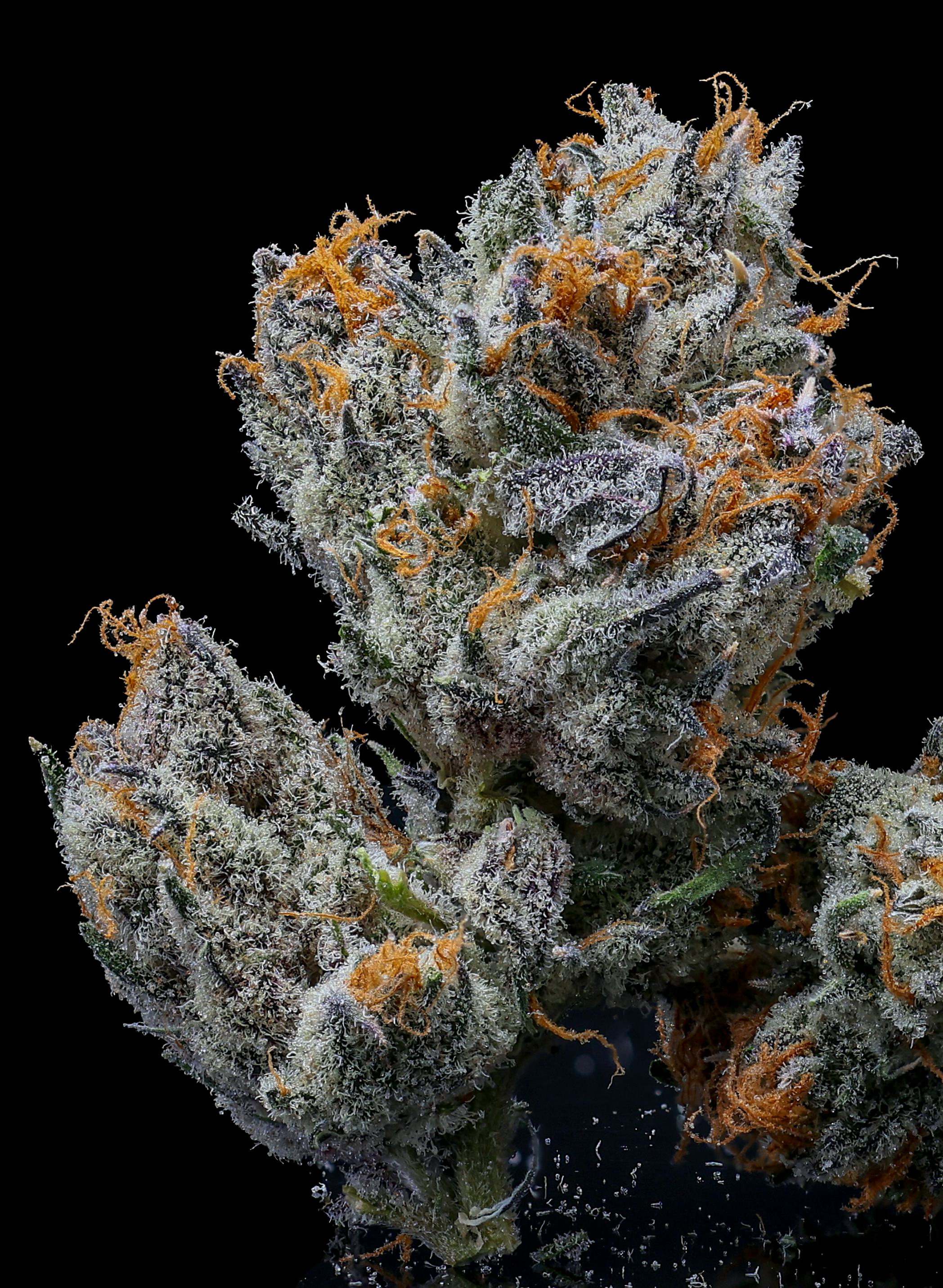 G13 Haze | 3.5g - View 4